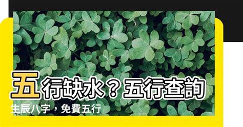 喜木是什麼|免費生辰八字五行屬性查詢、算命、分析命盤喜用神、喜忌